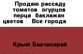 Продаю рассаду томатов, огурцов, перца, баклажан, цветов  - Все города  »    . Крым,Бахчисарай